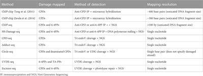 Damage mapping techniques and the light they have shed on canonical and atypical UV photoproducts